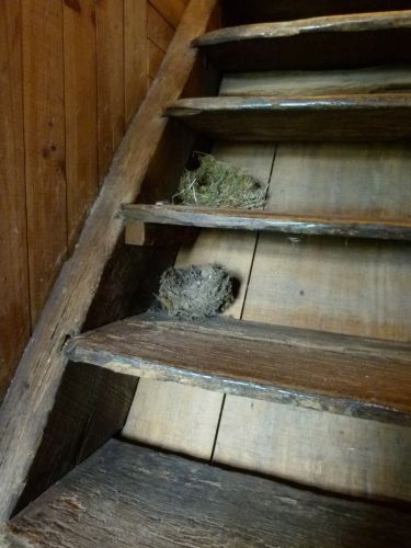 Les Gîtes de l'Etang des Noues