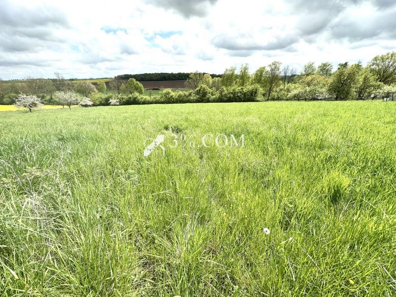 Terrain constructible - 1 600 m²