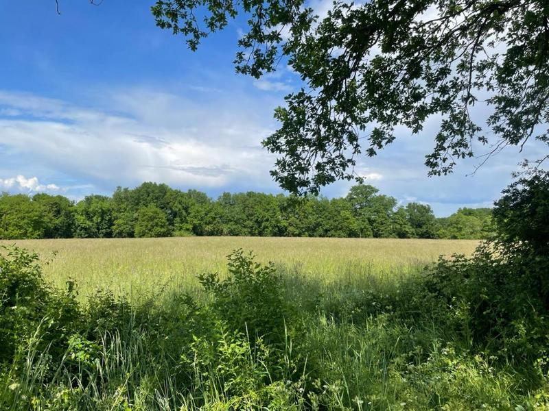 Terrain constructible - 640 m²