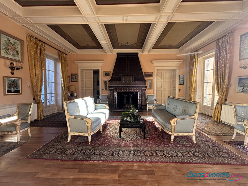 Château - 632 m² - 12 pièces