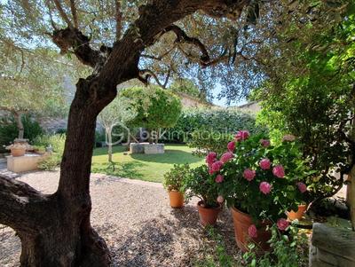 Mas - 260 m² - 10 pièces