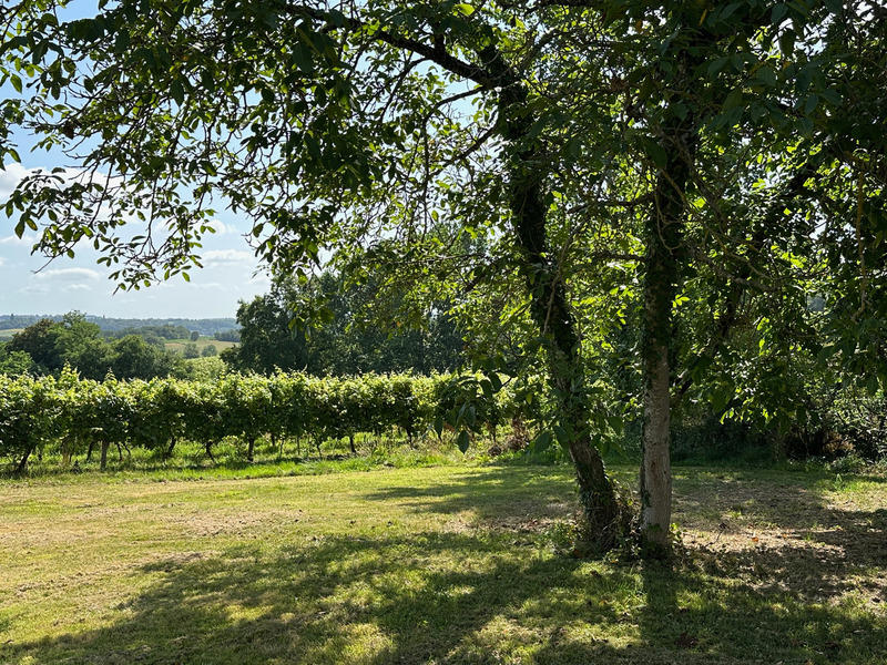 Maison - 180 m² - 8 pièces