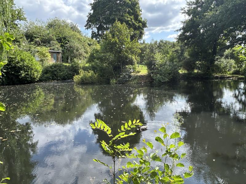 Maison ancienne - 152 m² - 6 pièces