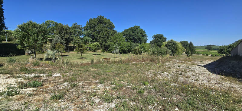 Viager - Maison ancienne - 248 m² - 11 pièces