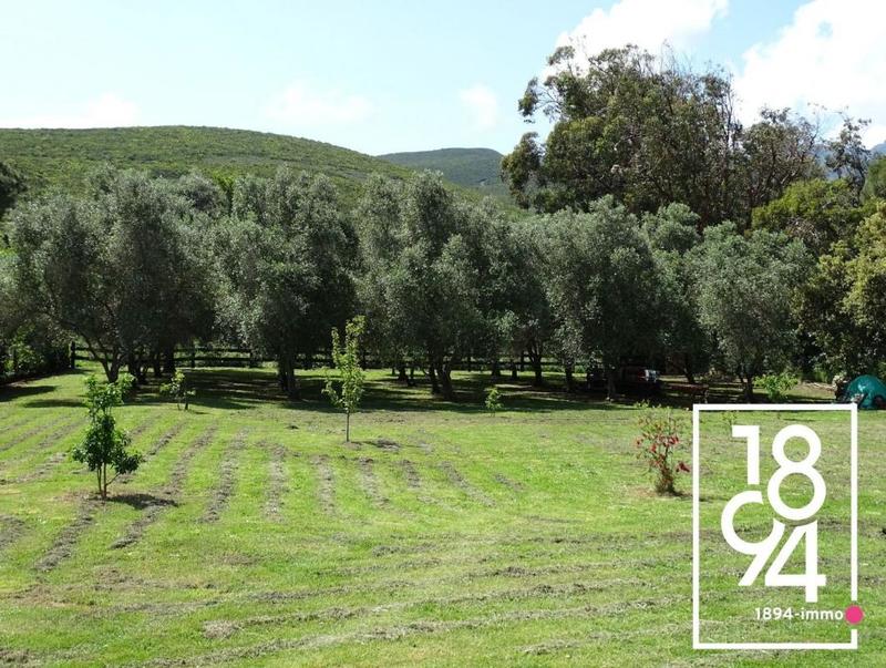 Maison - 126 m² - 3 pièces