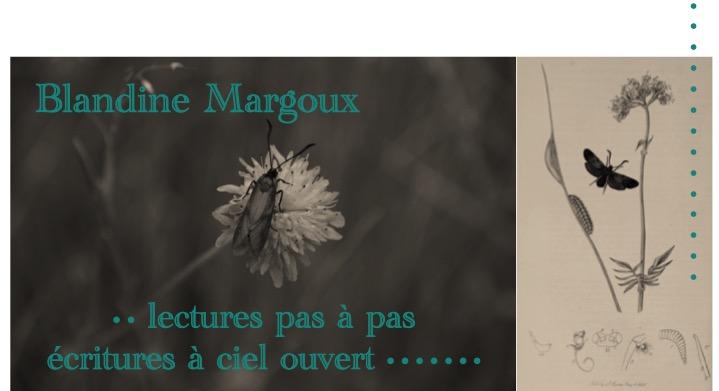 Le pont et les ponts • Atelier d'écriture déambulant