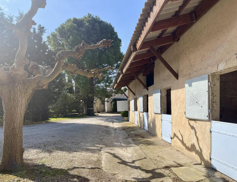 Propriété - 600 m² - 15 pièces