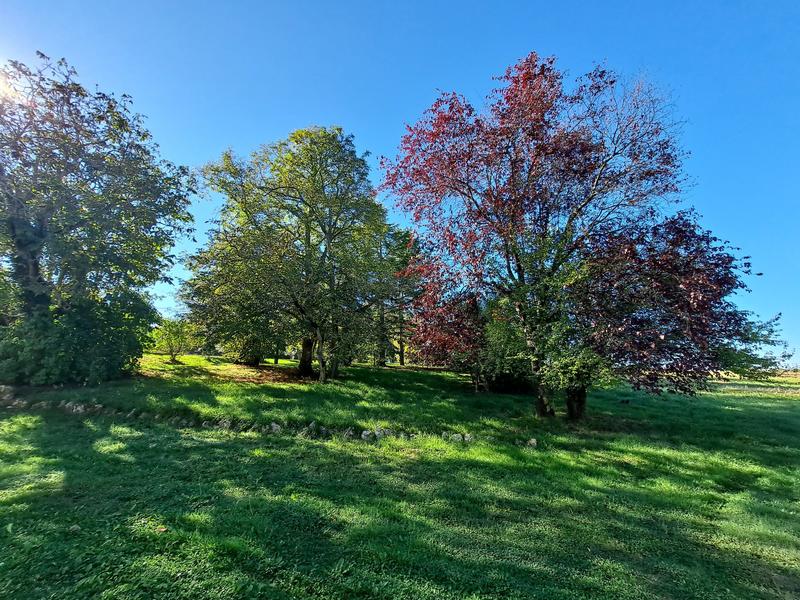 Maison - 175 m² - 6 pièces