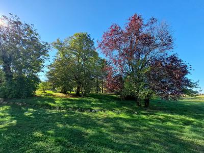 Maison - 175 m² - 6 pièces