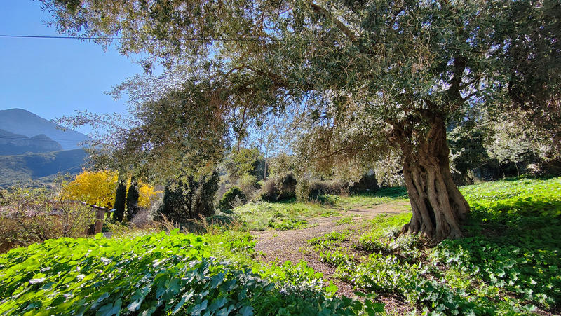 Terrain constructible - 567 m²