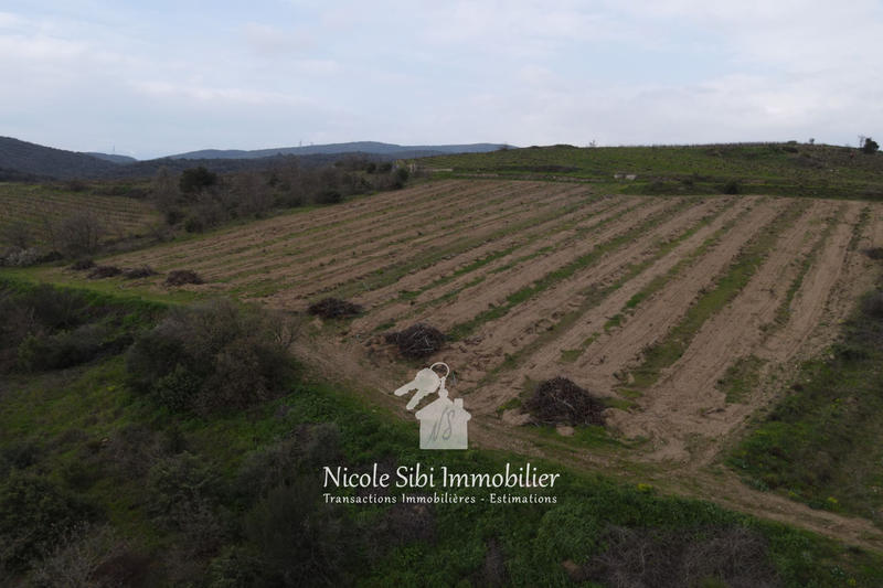 Terrain agricole - 40 428 m²