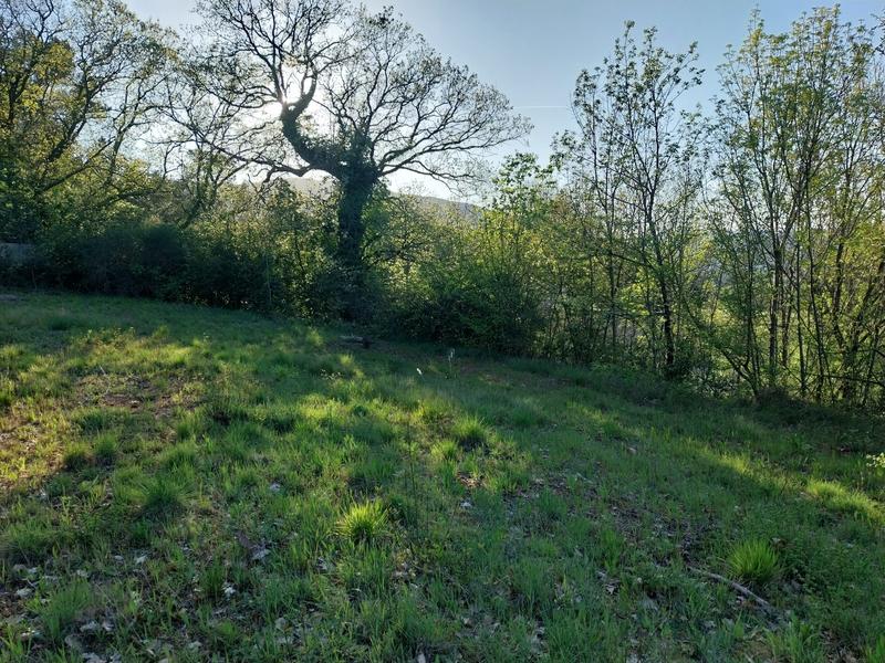 Terrain - 2 354 m²