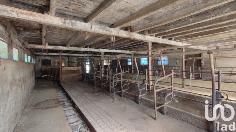 Maison de village - 141 m² - 6 pièces