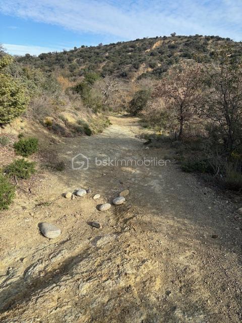 Terrain agricole - 6 375 m²