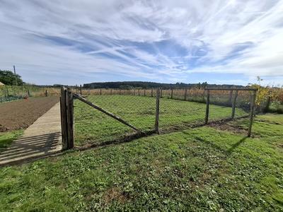 Terrain - 11 450 m²