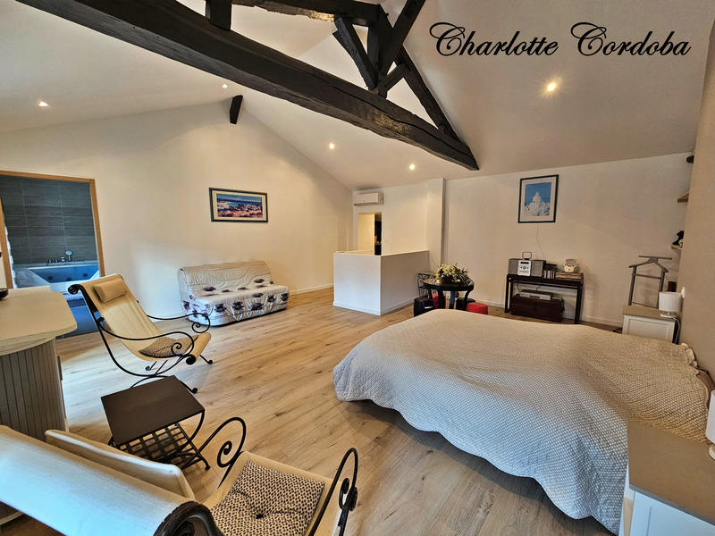 Maison en pierre - 253 m² - 9 pièces