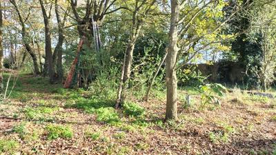 Maison - 54 m² - 2 pièces