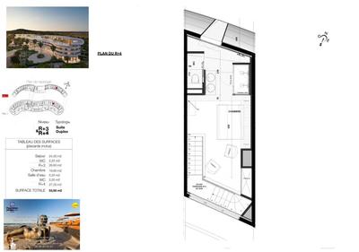 Appartement - 53 m² - 2 pièces