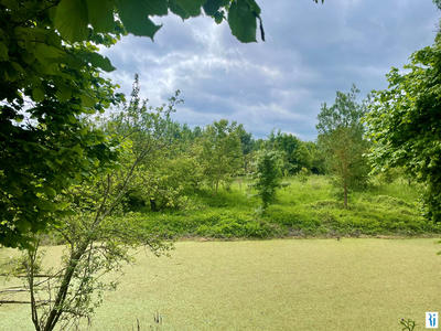 Maison - 220 m² - 5 pièces