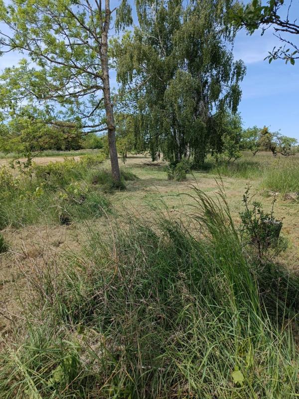 Terrain agricole - 1 490 m²