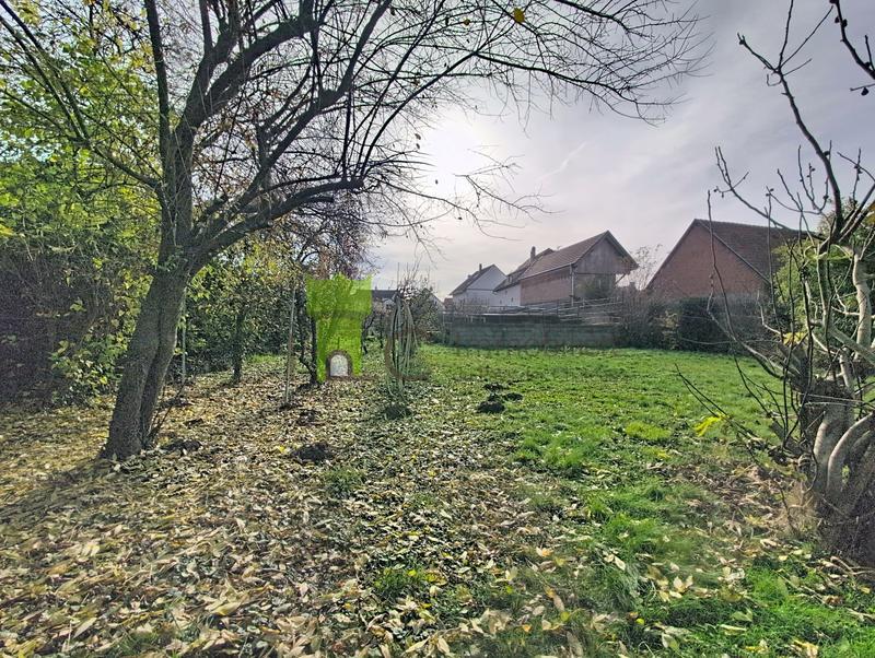 Maison ancienne - 199 m² - 9 pièces