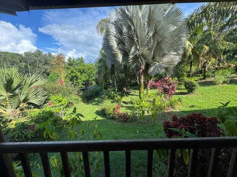 Terrain constructible - 10 113 m²