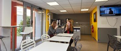 Studio - 19 m² - 1 pièce