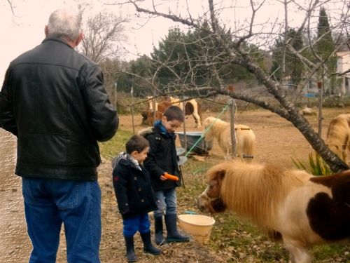 La Petite Ferme des 3.6.9
