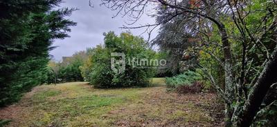 Terrain constructible - 1 032 m²