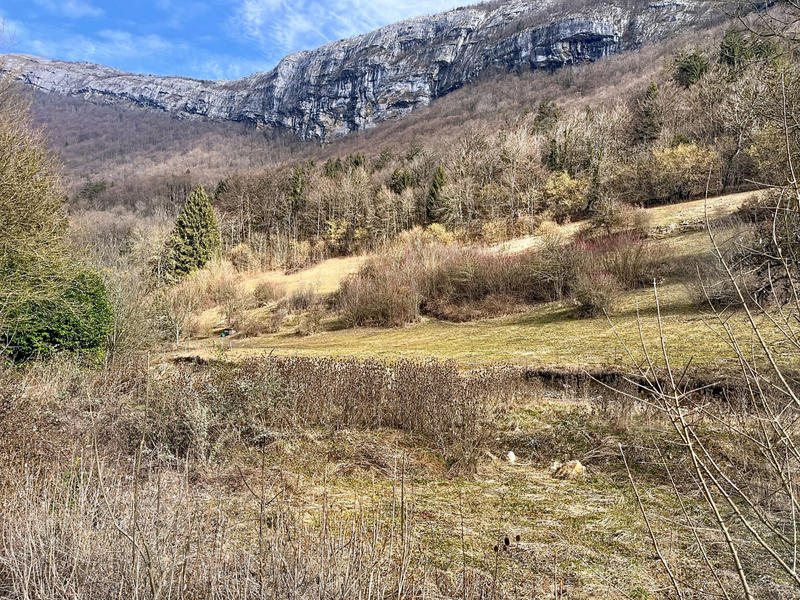 Maison ancienne - 90 m² - 3 pièces