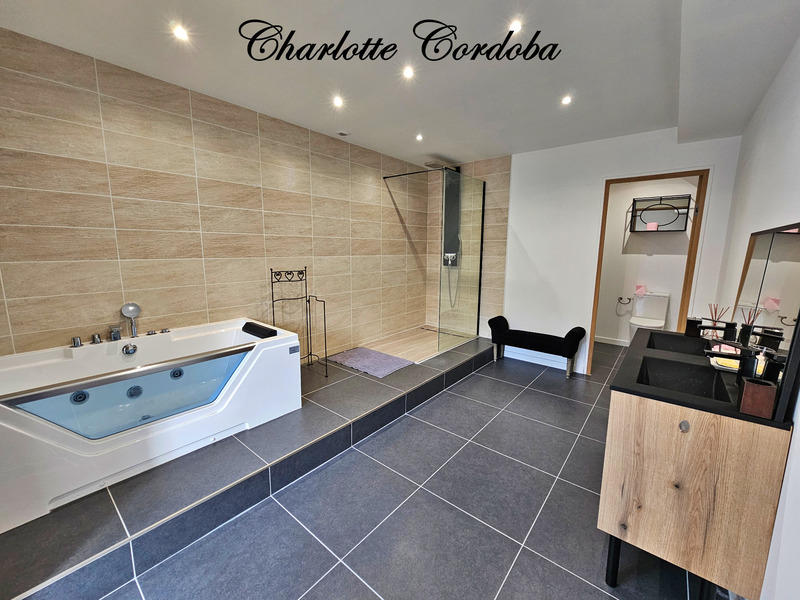 Maison en pierre - 253 m² - 9 pièces