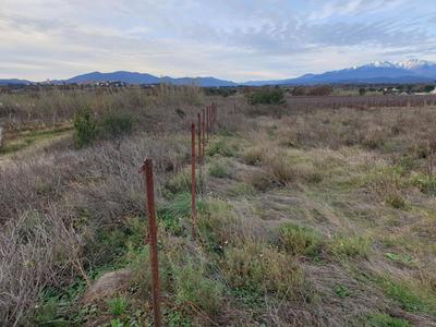 Terrain de loisirs - 4 530 m²