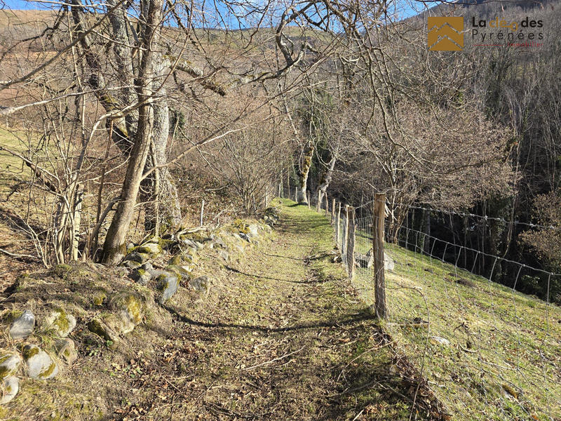 Maison ancienne - 80 m² - 1 pièce