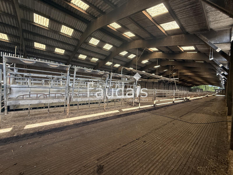 Propriété - 240 m² - 8 pièces