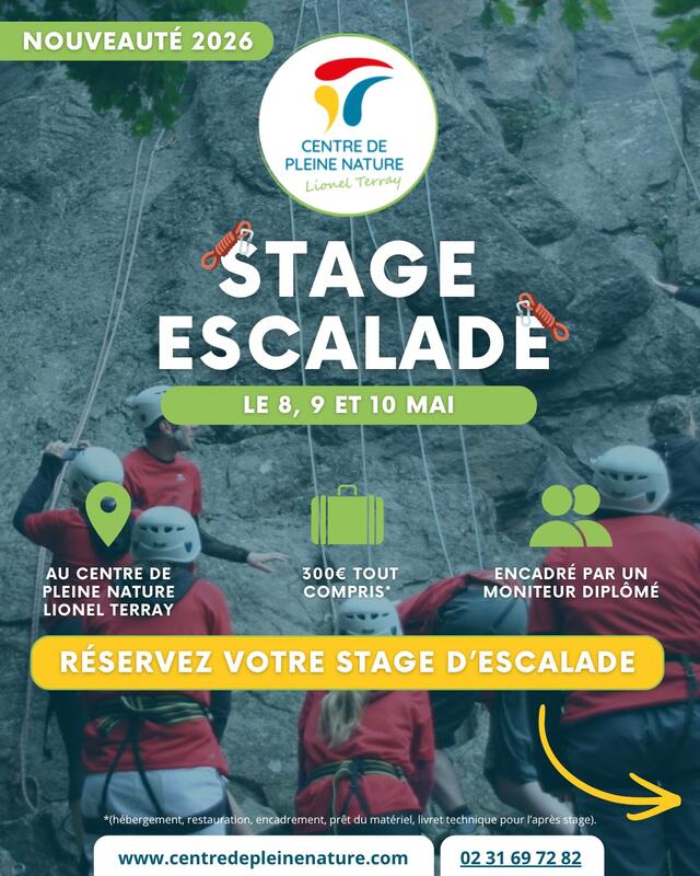 Stage escalade