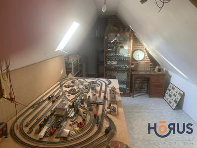 Viager - Maison - 250 m² - 7 pièces