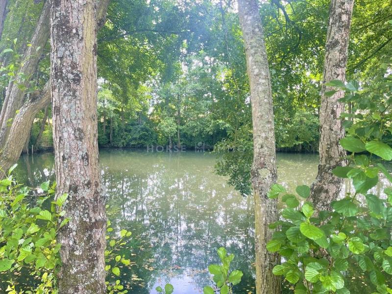 Maison de domaine équestre - 345 m² - 7 pièces