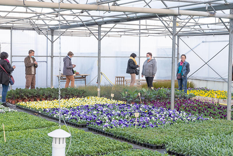 Je créé mon jardin condimentaire