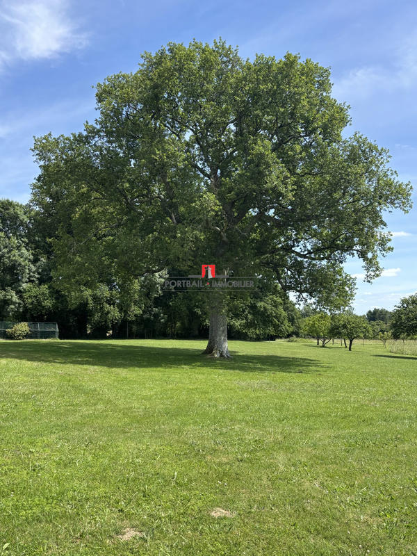 Maison - 175 m² - 6 pièces