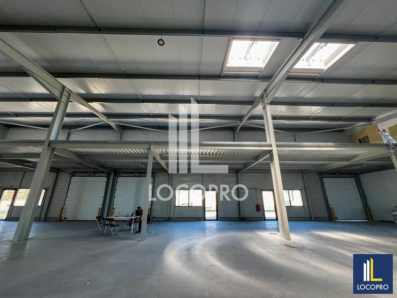 Local d'activité / Entrepôt - 997 m²
