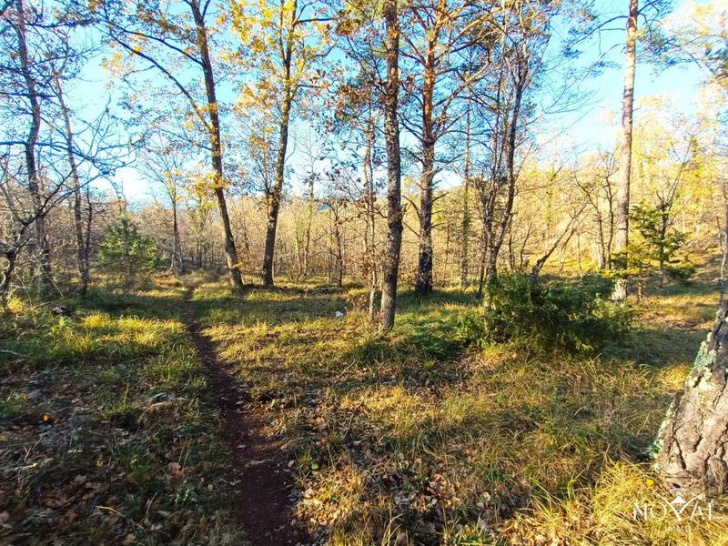 Terrain - 18 190 m²