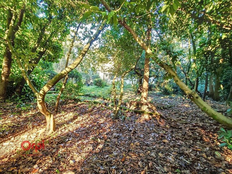 Appartement - 93 m² - 3 pièces