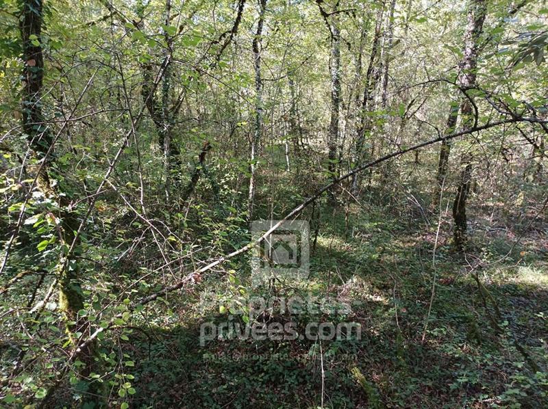 Terrain - 45 150 m²