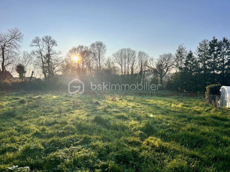 Terrain constructible - 5 119 m²