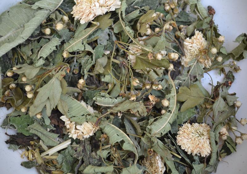 Atelier créer son placard d'herboristerie