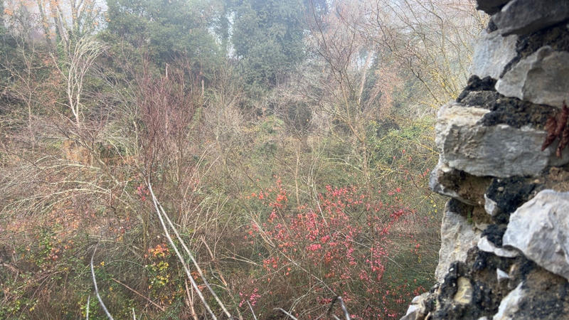 Maison - 330 m² - 5 pièces