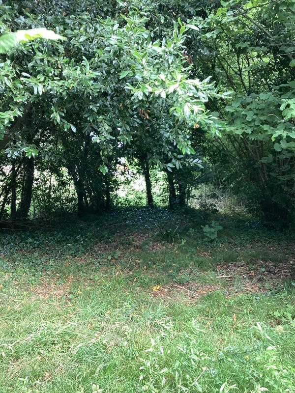 Maison - 115 m² - 6 pièces