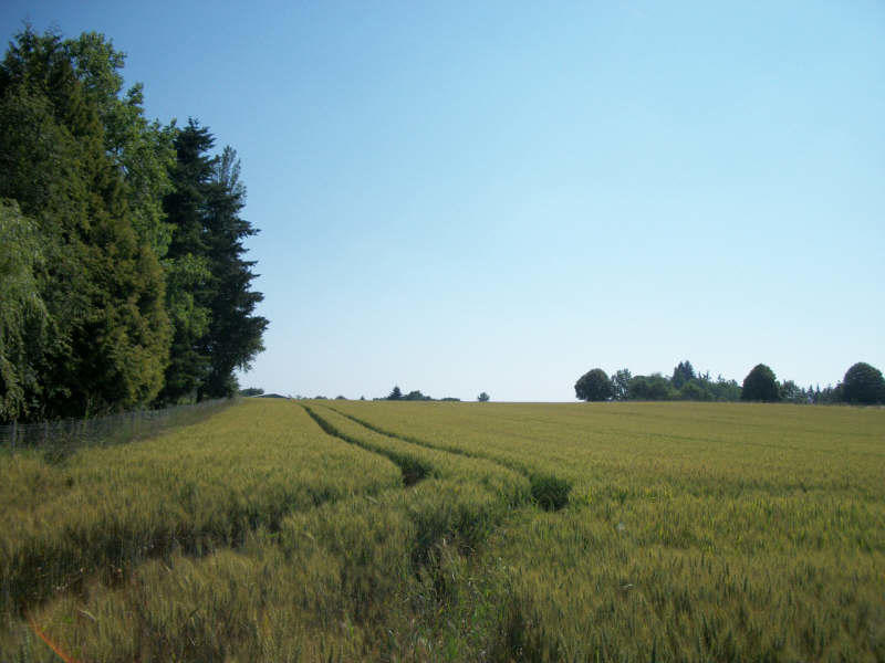 Terrain - 5 000 m²