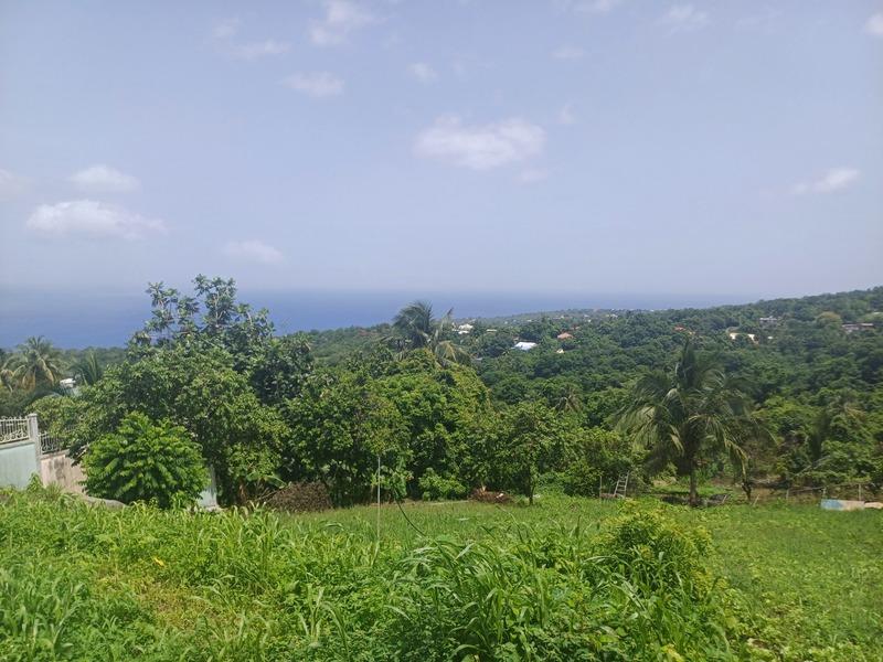 Terrain constructible - 1 056 m²