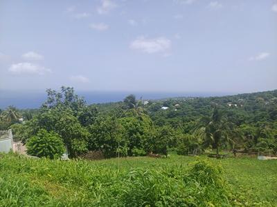 Terrain constructible - 1 056 m²